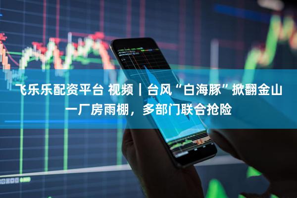 飞乐乐配资平台 视频｜台风“白海豚”掀翻金山一厂房雨棚，多部门联合抢险